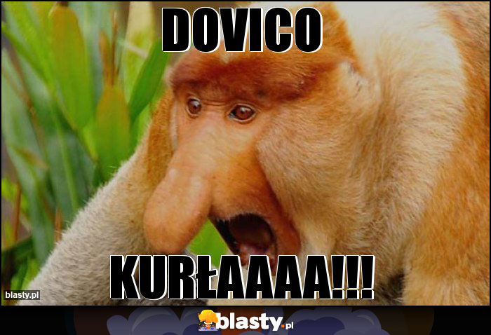 DOVICO