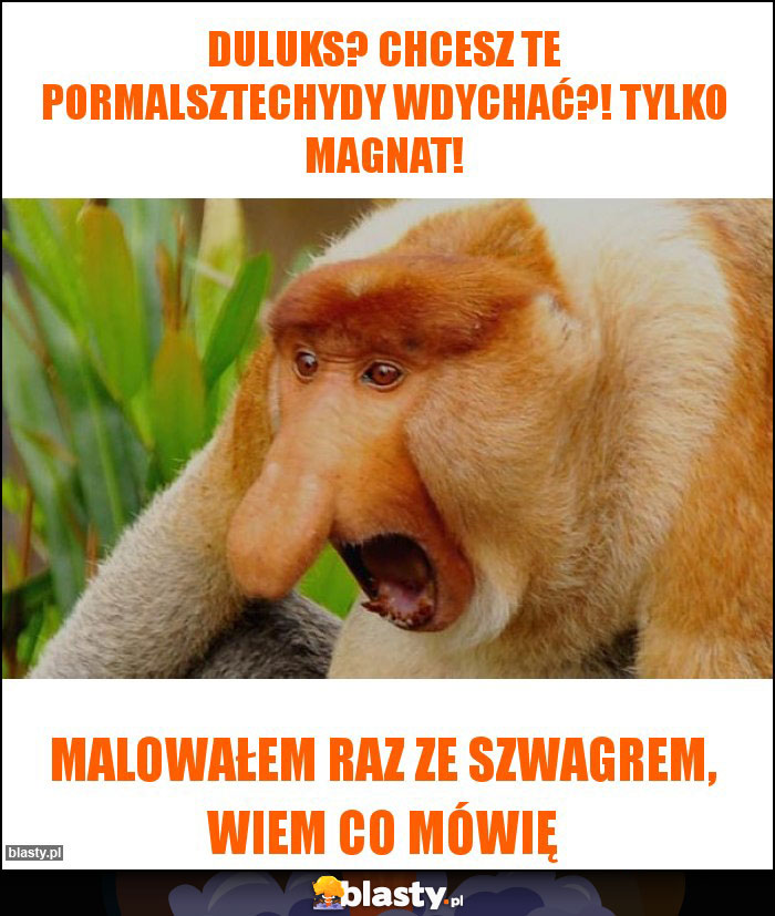DULUKS? CHCESZ TE PORMALSZTECHYDY WDYCHAĆ?! TYLKO MAGNAT! DULUKS? CHCESZ TE PORMALSZTECHYDY WDYCHAĆ?! TYLKO MAGNAT!