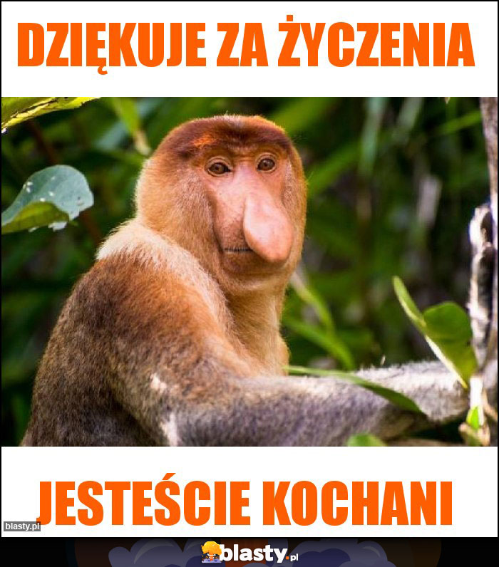 DZIĘKUJE ZA ŻYCZENIA