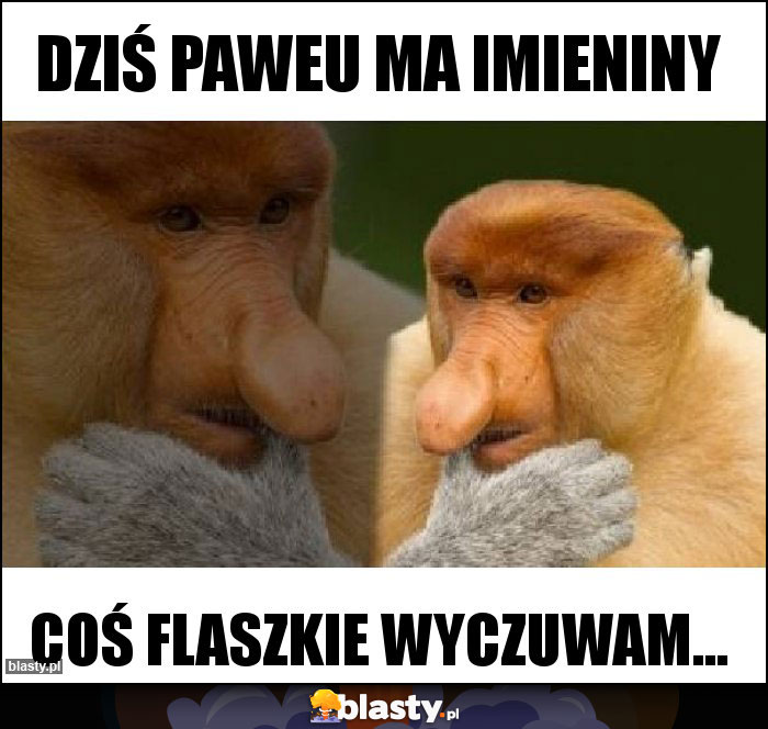 Dziś Paweu ma imieniny Dziś Paweu ma imieniny