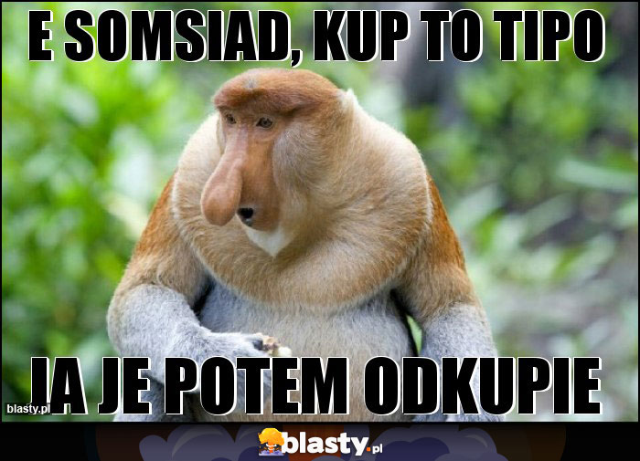 E somsiad, kup to tipo E somsiad, kup to tipo
