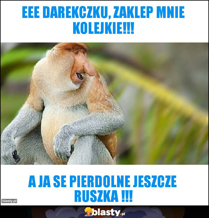 Eee Darekczku, zaklep mnie kolejkie!!! Eee Darekczku, zaklep mnie kolejkie!!!