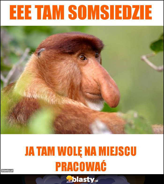 Eee tam somsiedzie Eee tam somsiedzie