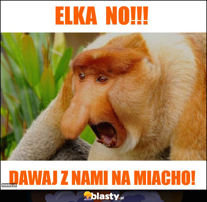 Elka NO!!! Elka NO!!!