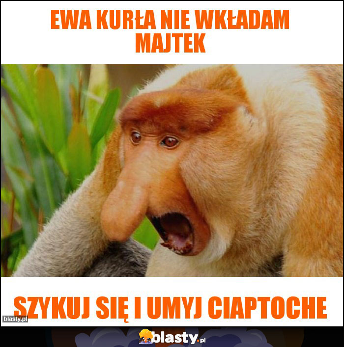 Ewa kurła nie wkładam majtek Ewa kurła nie wkładam majtek