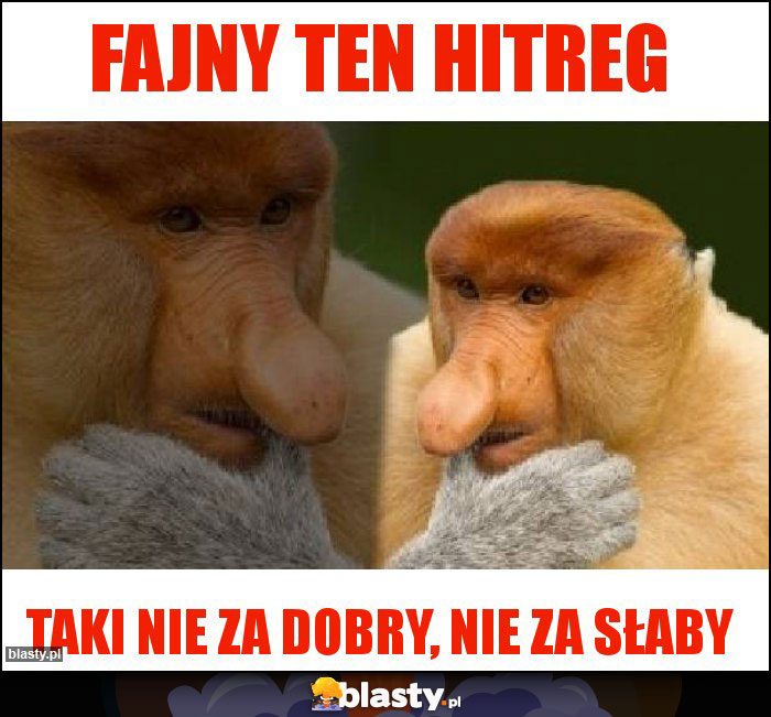 Fajny ten hitreg Fajny ten hitreg