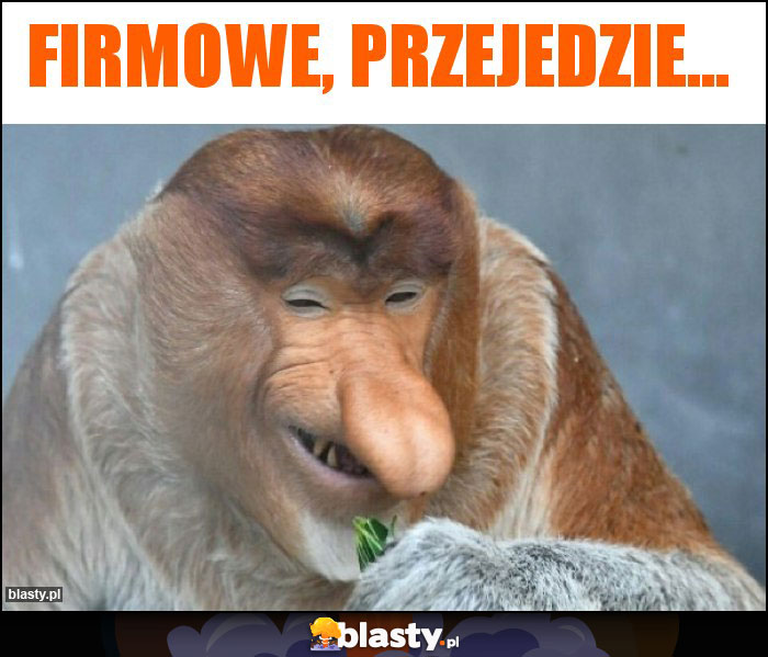 Firmowe, przejedzie... Firmowe, przejedzie...