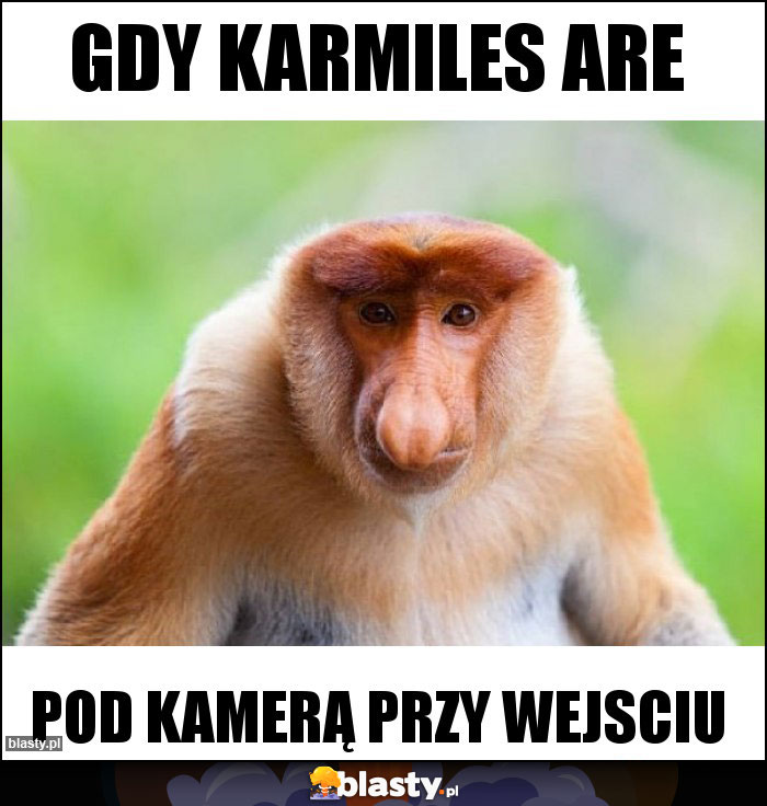 Gdy karmiles are Gdy karmiles are