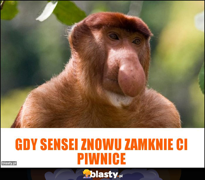 Gdy sensei znowu zamknie Ci piwnice Gdy sensei znowu zamknie Ci piwnice
