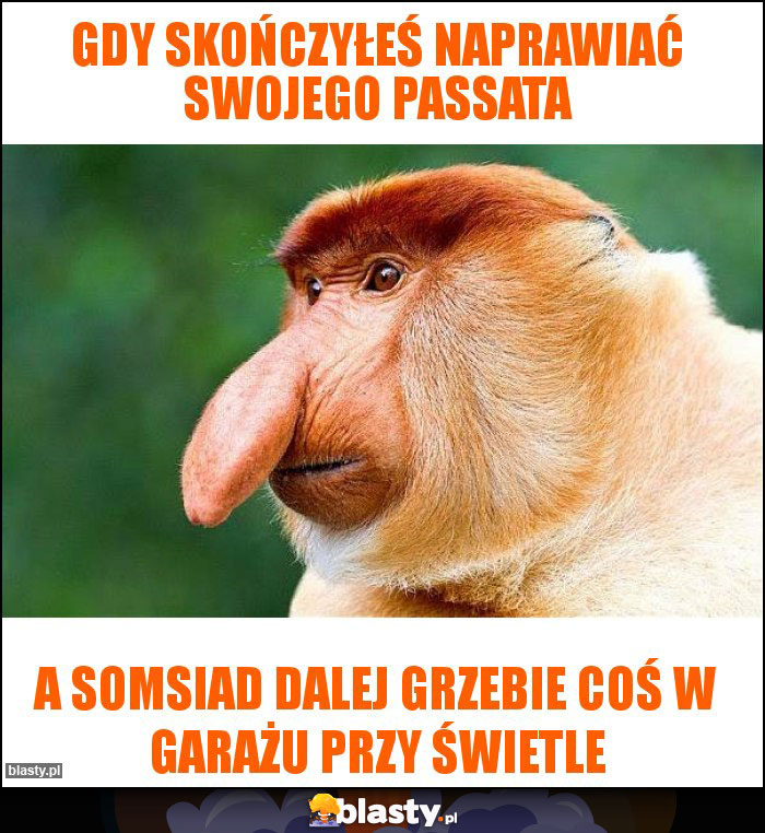 Gdy skończyłeś naprawiać swojego passata Gdy skończyłeś naprawiać swojego passata