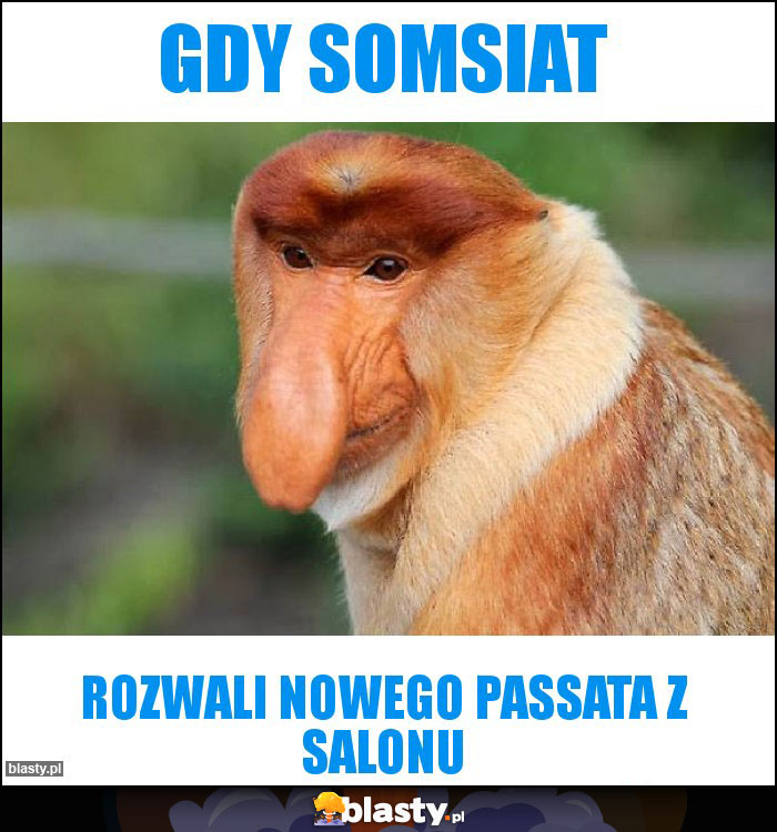gdy somsiat gdy somsiat