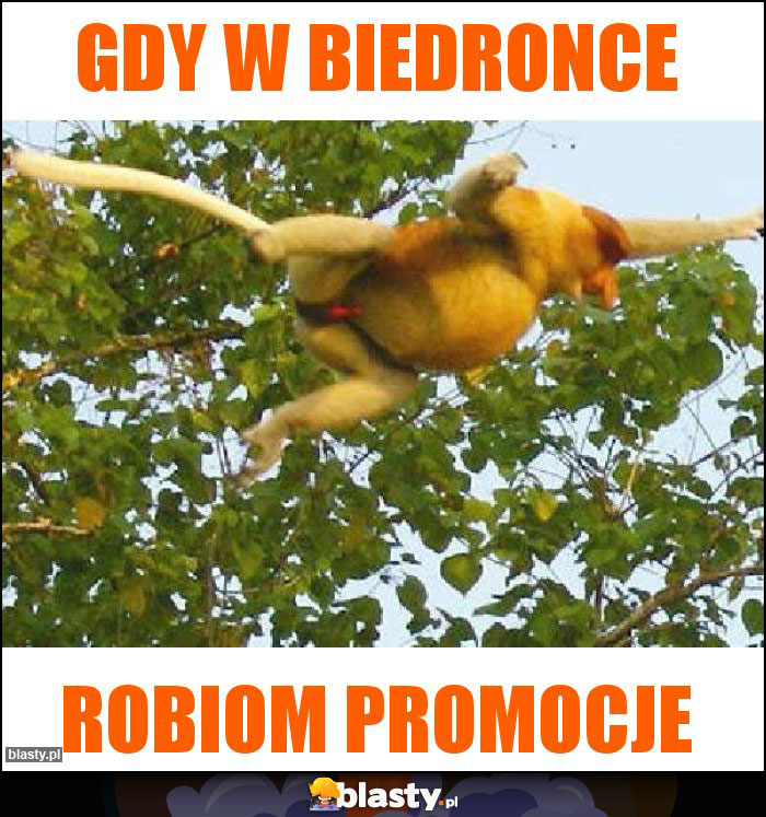 Gdy w biedronce Gdy w biedronce