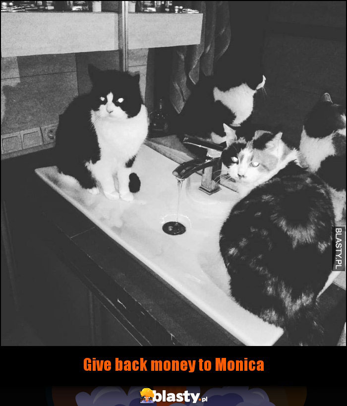 Give back money to Monica Give back money to Monica
