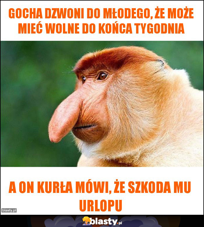 Gocha dzwoni do młodego, że może mieć wolne do końca tygodnia Gocha dzwoni do młodego, że może mieć wolne do końca tygodnia
