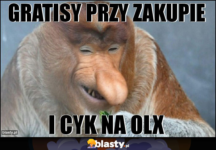 Gratisy przy zakupie Gratisy przy zakupie