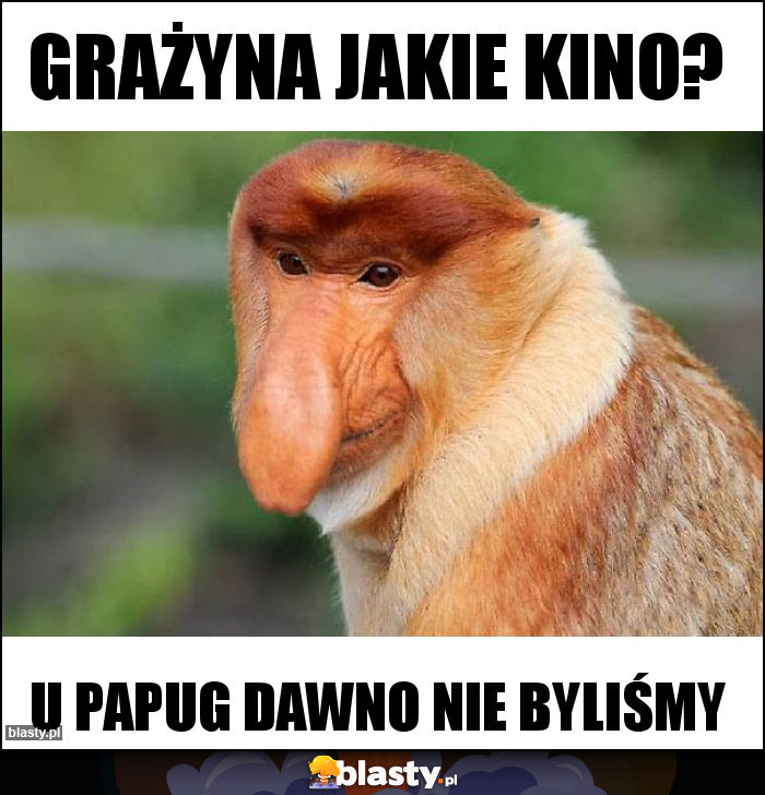 Grażyna jakie kino? Grażyna jakie kino?