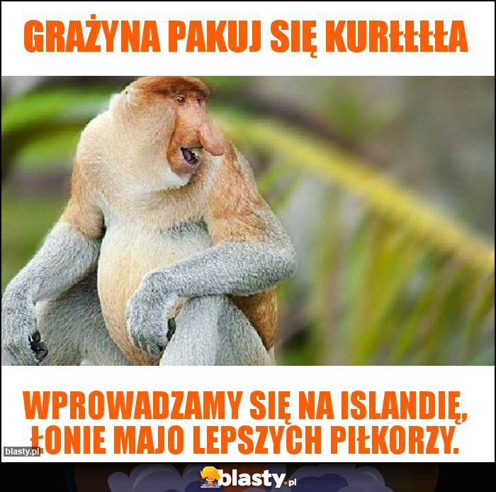 Grażyna pakuj się kurłłłła Grażyna pakuj się kurłłłła