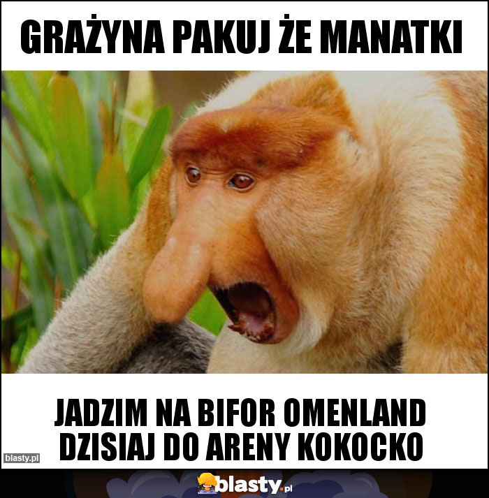 grażyna pakuj że manatki grażyna pakuj że manatki