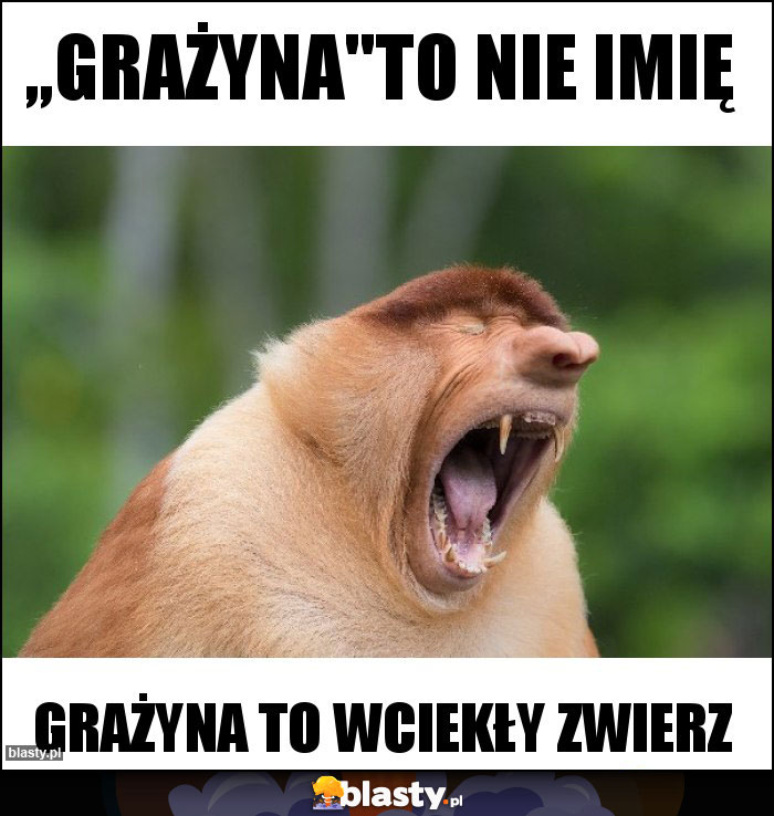 ,,Grażyna ,,Grażyna