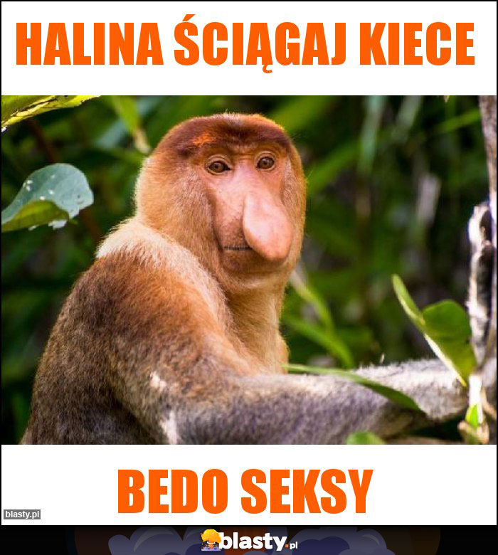 Halina ściągaj kiece Halina ściągaj kiece