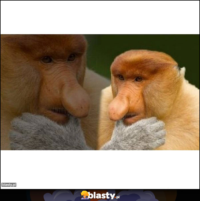 Halina tak się najebać? Halina tak się najebać?