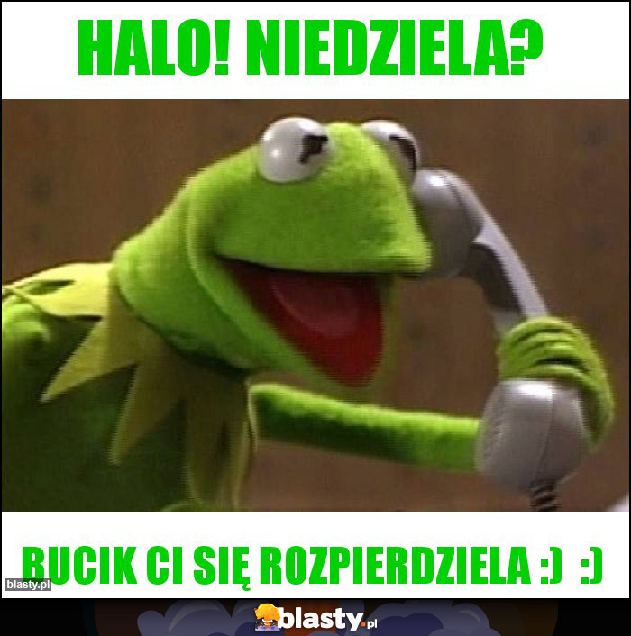 Halo! Niedziela?