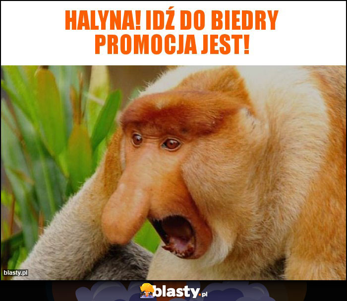 Halyna! Idź do biedry promocja jest! Halyna! Idź do biedry promocja jest!