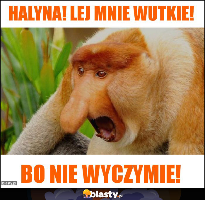 Halyna! Lej mnie wutkie! Halyna! Lej mnie wutkie!