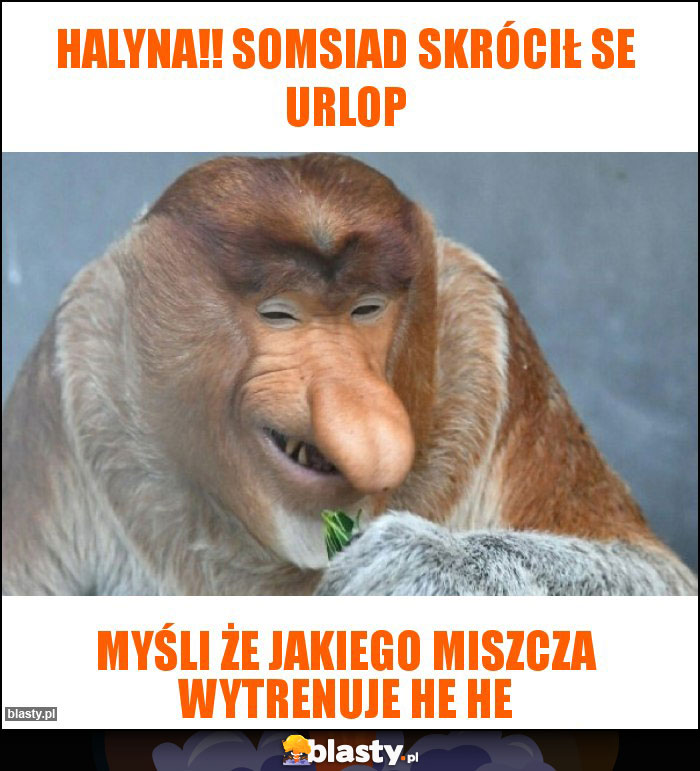 Halyna!! Somsiad skrócił se urlop Halyna!! Somsiad skrócił se urlop