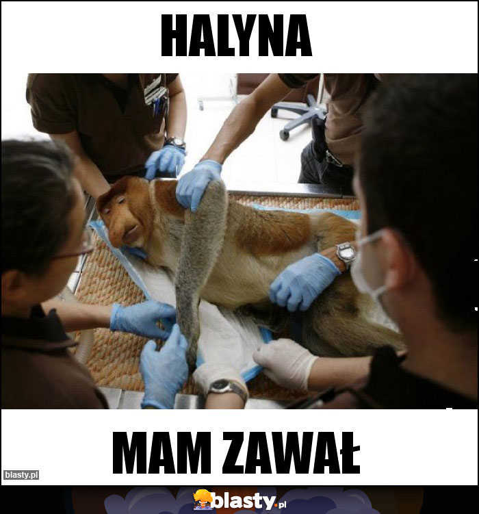 Halyna