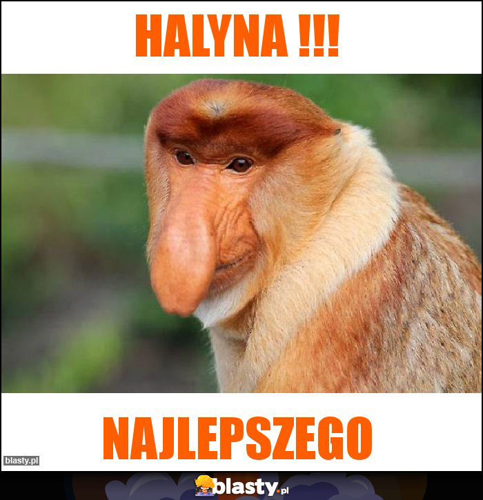 HALYNA !!! HALYNA !!!