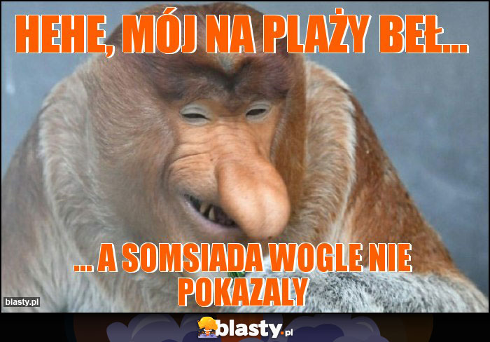 Hehe, mój na plaży beł... Hehe, mój na plaży beł...