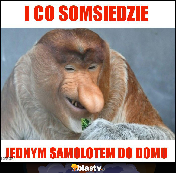 I co somsiedzie I co somsiedzie