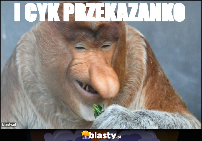 I cyk przekazanko I cyk przekazanko