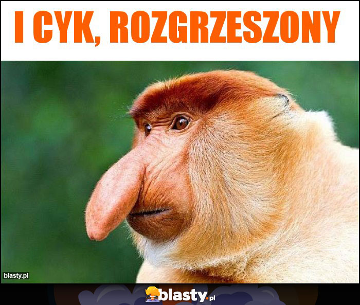 I cyk, rozgrzeszony I cyk, rozgrzeszony