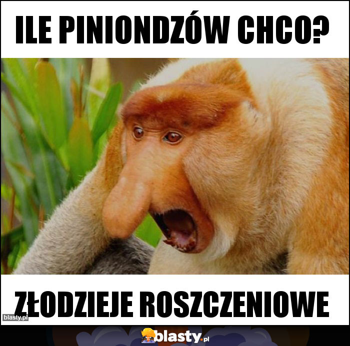 Ile piniondzów chco? Ile piniondzów chco?