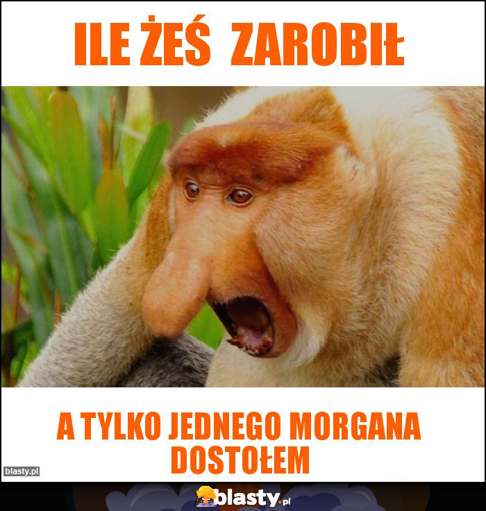 Ile żeś zarobił Ile żeś zarobił
