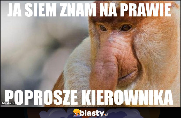 JA SIEM ZNAM NA PRAWIE