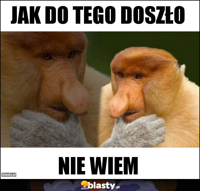 Jak do tego doszło