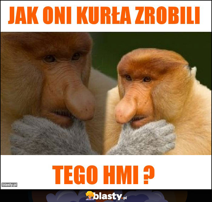 Jak oni kurła zrobili Jak oni kurła zrobili