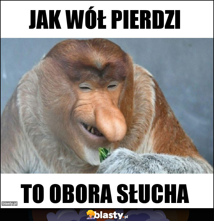 Jak wół pierdzi Jak wół pierdzi