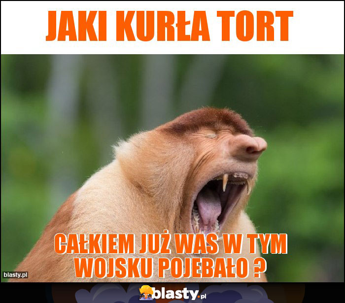 JAKI KURŁA TORT JAKI KURŁA TORT