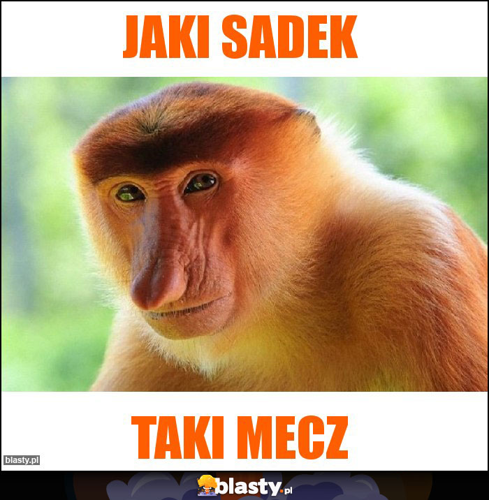 Jaki sadek Jaki sadek