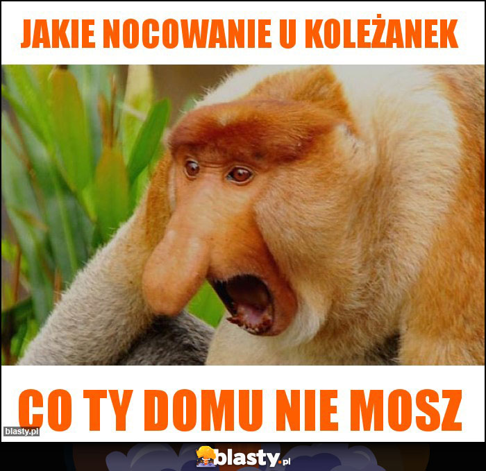Jakie nocowanie u koleżanek Jakie nocowanie u koleżanek