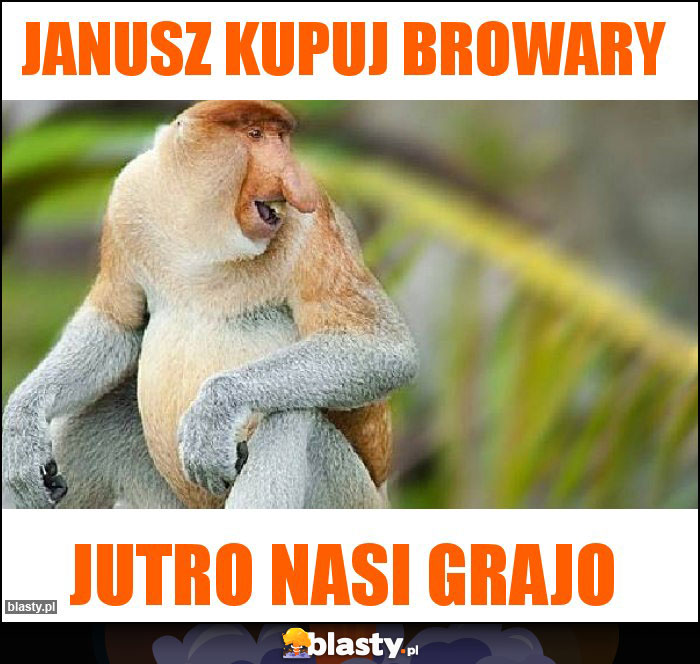 Janusz kupuj browary Janusz kupuj browary