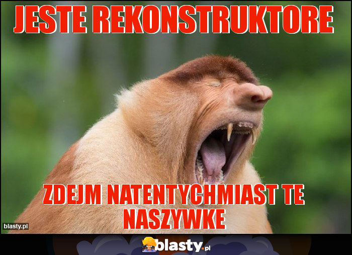 Jeste rekonstruktore Jeste rekonstruktore