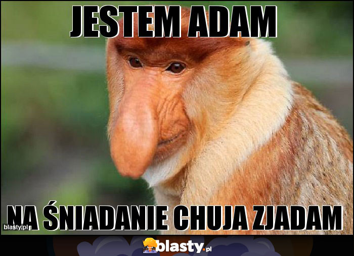 jestem adam jestem adam