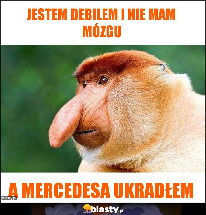 JESTEM DEBILEM I NIE MAM MÓZGU JESTEM DEBILEM I NIE MAM MÓZGU