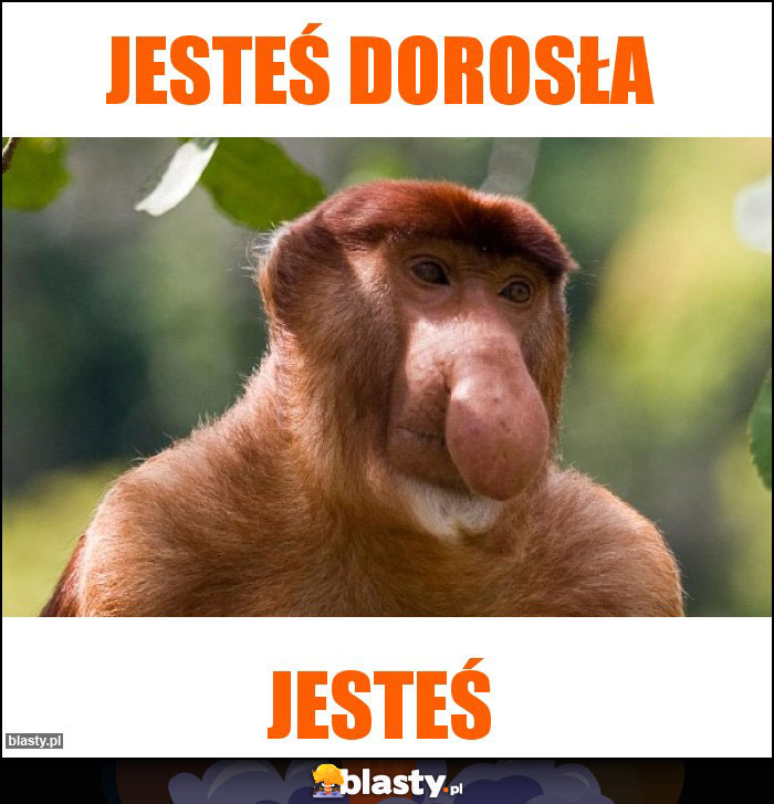 Jesteś dorosła Jesteś dorosła