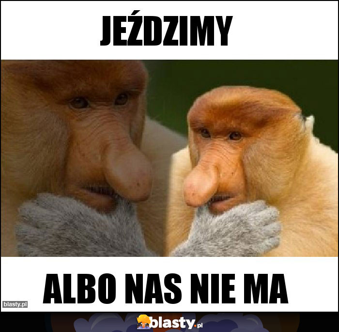 Jeździmy